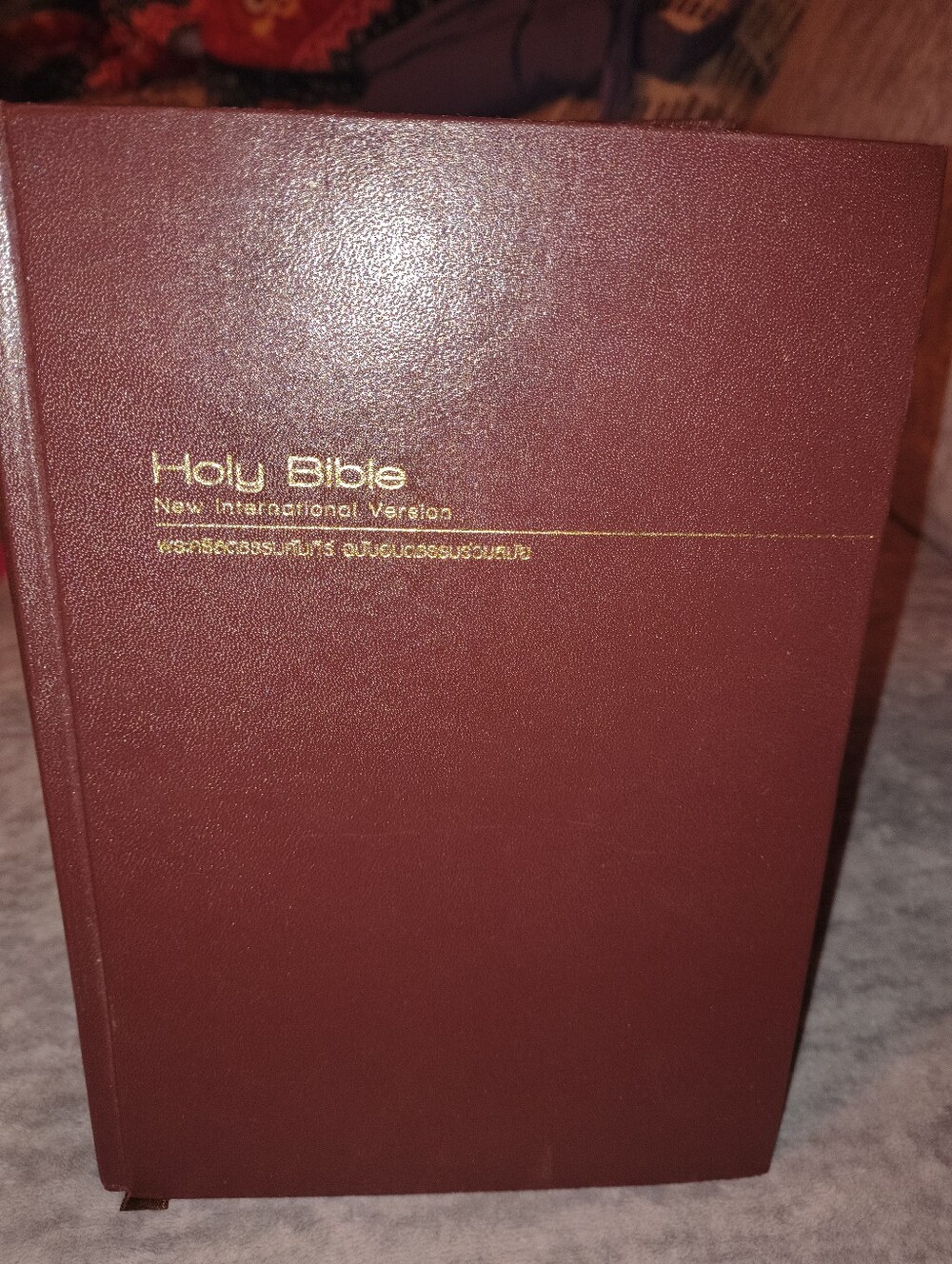 Holy Bible New International Version - Burgundy